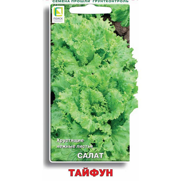 Салат Тайфун Поиск Ц