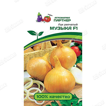 Лук Музыка репчатый Партнер Ц