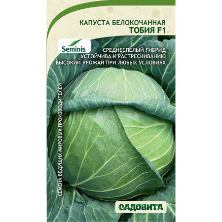 Капуста Тобия б/к F1 10шт Seminis/Садовита Ц