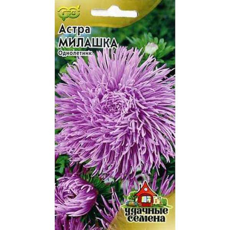 Астра Милашка Удачные Семена Гавриш Ц 