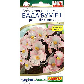 КОМ Бег Бада роза биколор Аэлита Цх10 