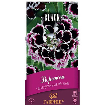 Гвоздика китайская Ворожея Гавриш Ц 