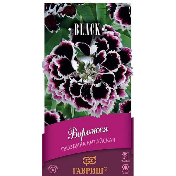 Гвоздика китайская Ворожея Гавриш Ц 