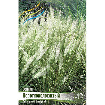 Вейник Коротковолосистый 2/3 2 шт