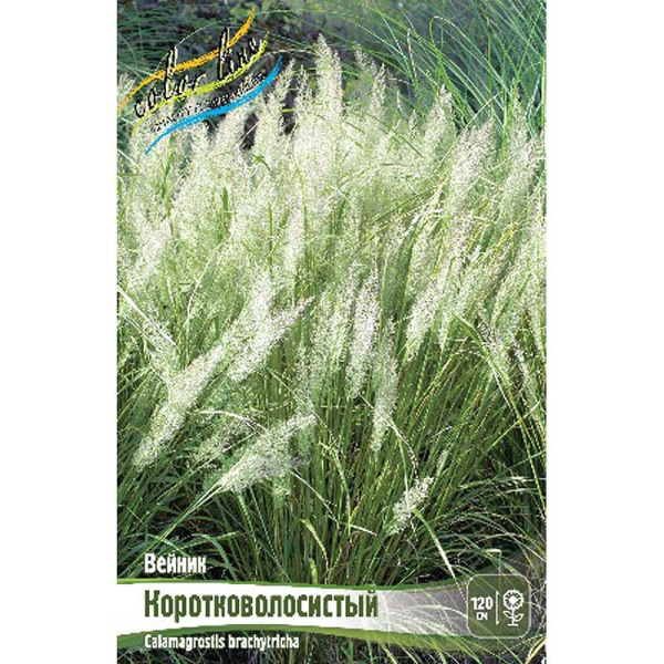 Вейник Коротковолосистый 2/3 2 шт