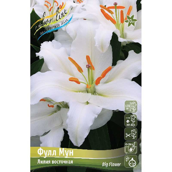 Лилия Фулл Мун 16/18 3 шт 