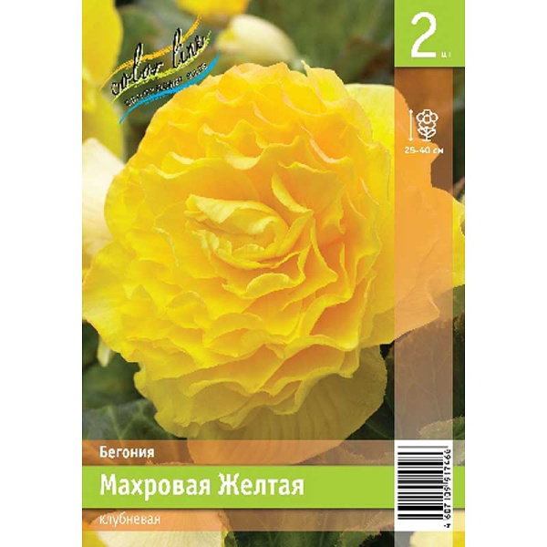 Бегония Махровая Желтая 4/5 2 Эконом шт