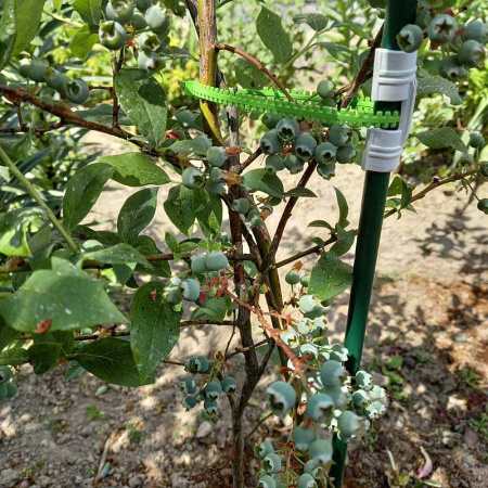 Хомут многоразовый для подвязки растений 20 см*100шт