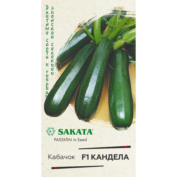 Кабачок Кандела Гавриш Ц