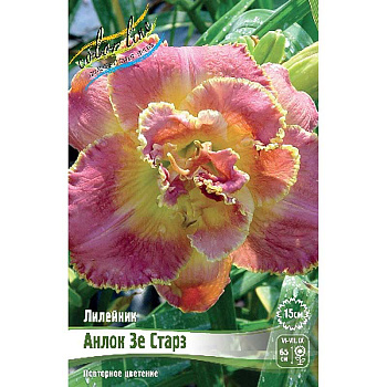 Лилейник Анлок Зе Старз I 1 шт 