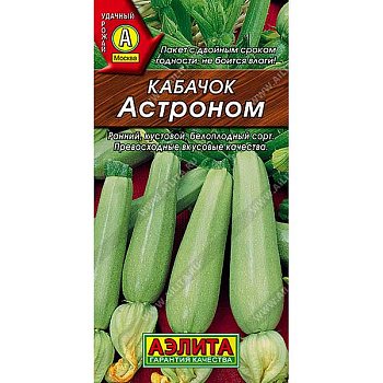 Кабачок Астроном Аэлита Ц