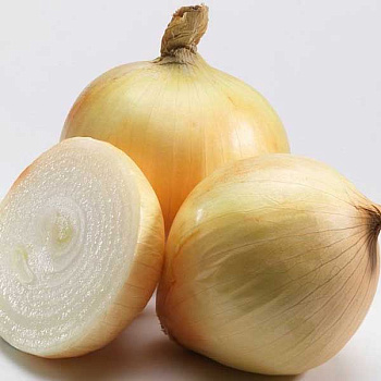 Лук Беннито СемАлт Ц