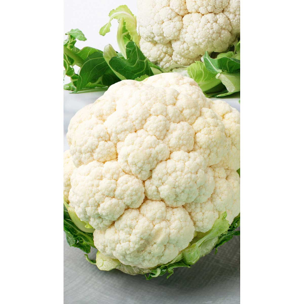 Капуста цветная Дачница 0,2гр Садовита Ц