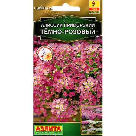 Алиссум приморский Тёмно-розовый Аэлита Цх10 