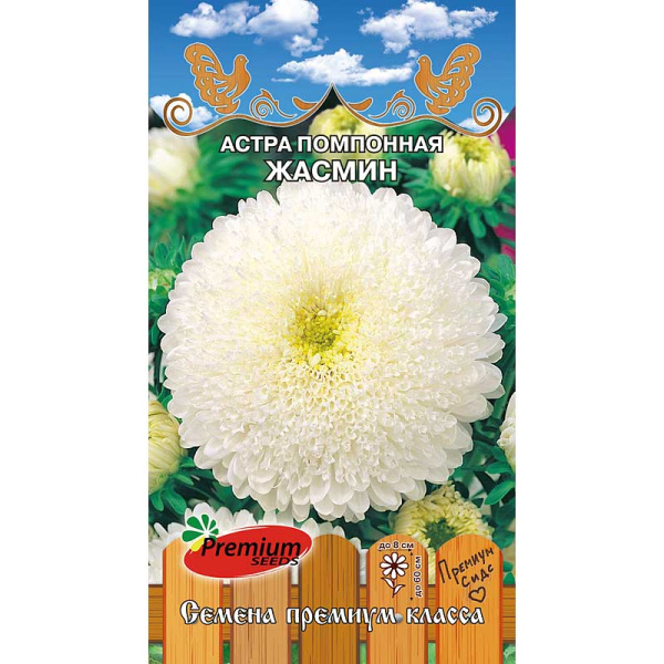 Астра Жасмин Премиум Сидс 