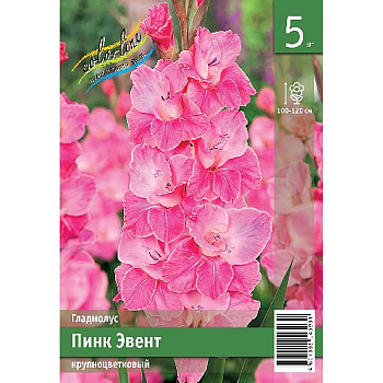 Гладиолус Пинк Эвент 10/12 5 Эконом шт 