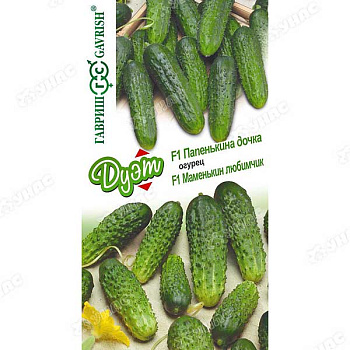 Огурец Дуэт Папенькина дочка+Маменькин любимчик Гавриш Ц x20