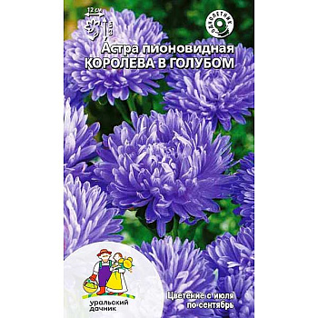 Семена Астра Королева в голубом Марс Ц 