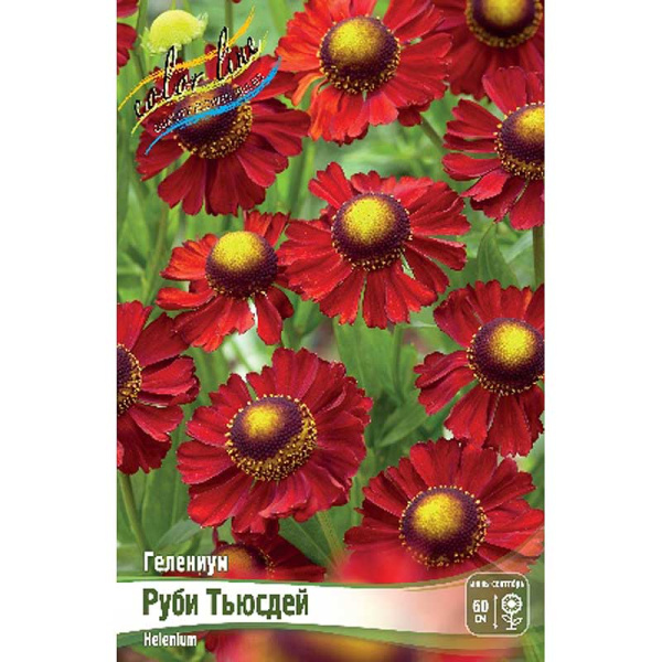 Гелениум Руби Тьюсдей I 25 шт Биг-Пак 8371