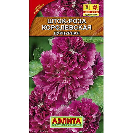 Шток-роза Королевская пурпурная Аэлита Ц 