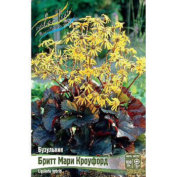 Бузульник Бритт Мари Кроуфорд I 1 шт