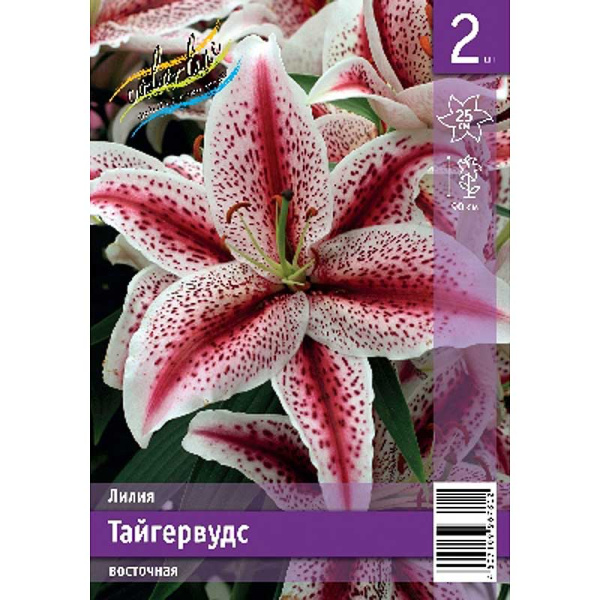 Лилия Тайгервудс 12/14 2 Эконом шт