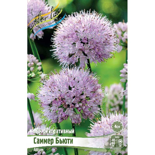 7897 Биг-Пак Лук Декоративный Саммер Бьюти I 25 шт