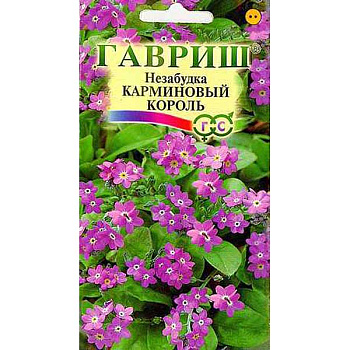 Незабудка Карминовый король Гавриш Ц 