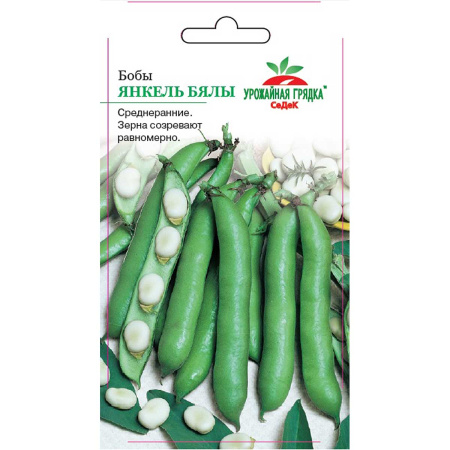 Бобы Янкель Бялы Седек Ц