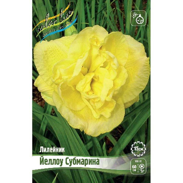 Лилейник Йеллоу Субмарина I 1 шт