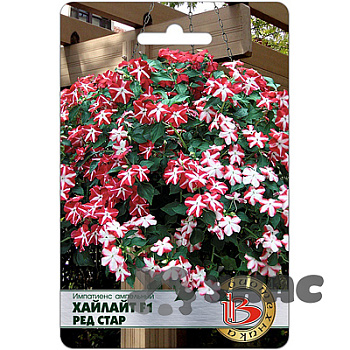 Импатиенс Хайлайт Ред Стар Биотехника Ц 