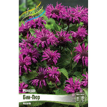 Монарда Бии-Пюр I 1 шт