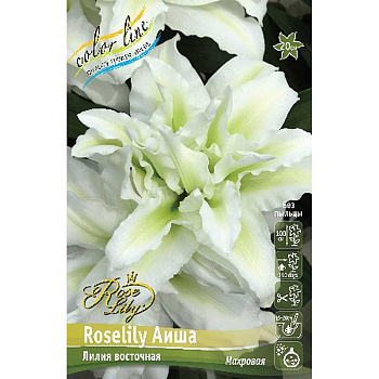 Лилия Roselily Аиша 16/18 2 шт 