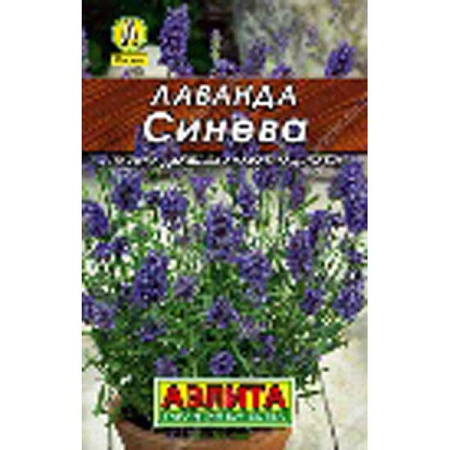 Лаванда Синева Аэлита Лидер Ц