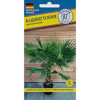 Вашигтония нитевидная Престиж Ц 