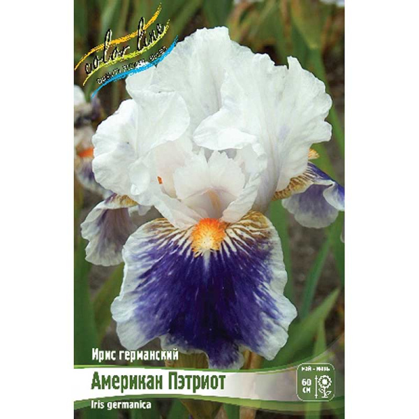 Ирис Германский Американ Пэтриот I 25 шт Биг-пак 5406