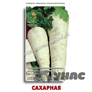 Петрушка Сахарная Поиск Ц