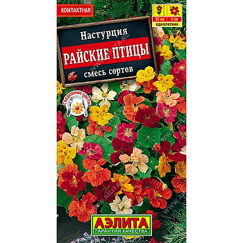 Настурция Райские птицы, карликовая Аэлита Ц 