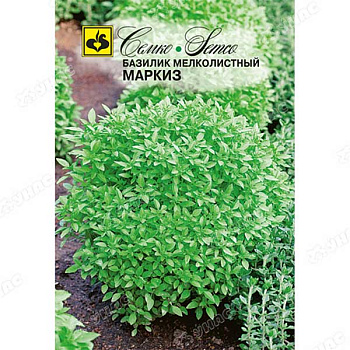 Базилик Маркиз зеленый Семко Ц
