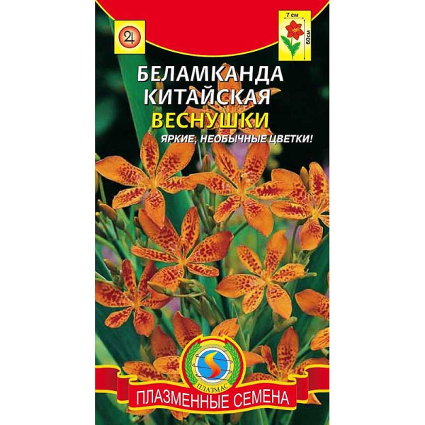 Беламканда Веснушки китайская Плазма Ц 