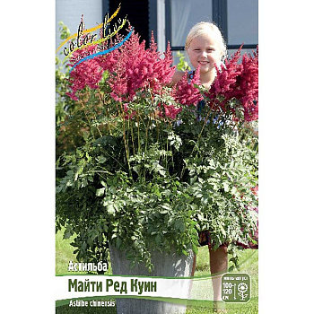 Астильба Майти Ред Куин 2/3 n 1 шт
