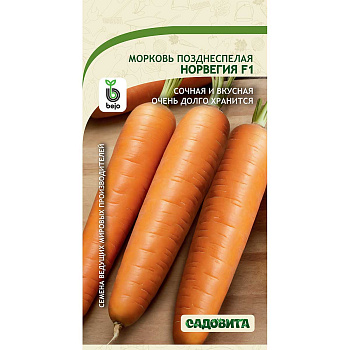 Морковь Норвегия F1 0,2гр Bejo/Садовита Ц