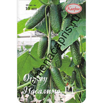 Семена Огурец Пасалимо Каприс