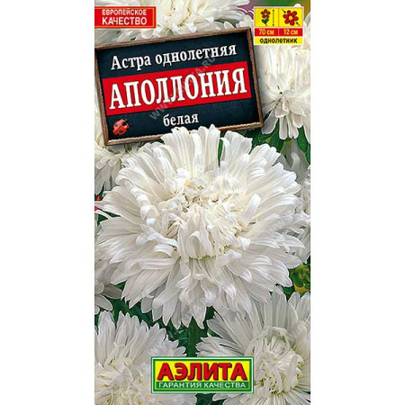 Астра Аполлония белая Аэлита Ц 