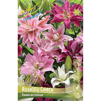 Лилия Roselily Смесь 12/14 25 шт Биг-пак 13717