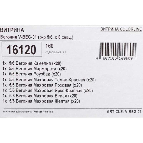 Витрина Бегония V-Beg-01 (Р-Р 5/6, Х 8 Секц.) 160 шт 16120 