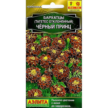 Бархатцы Черный принц Аэлита Ц 
