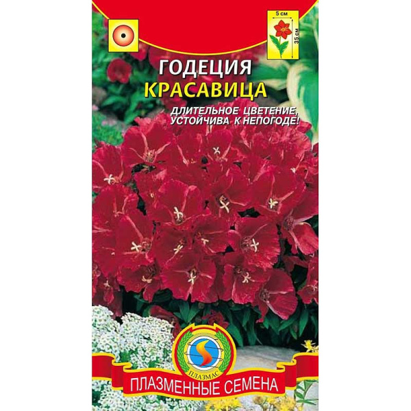Годеция Красавица Плазма Ц 