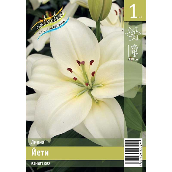 Лилия Йети 12/14 2 Эконом шт