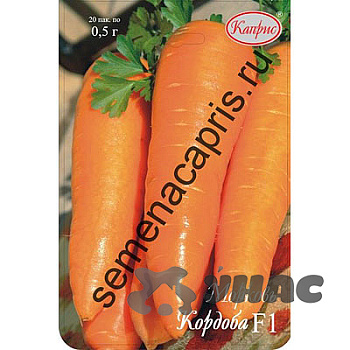 Морковь Кордоба (Нидерланды) Каприс